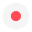 Japan J1 League